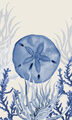 Image Not Available